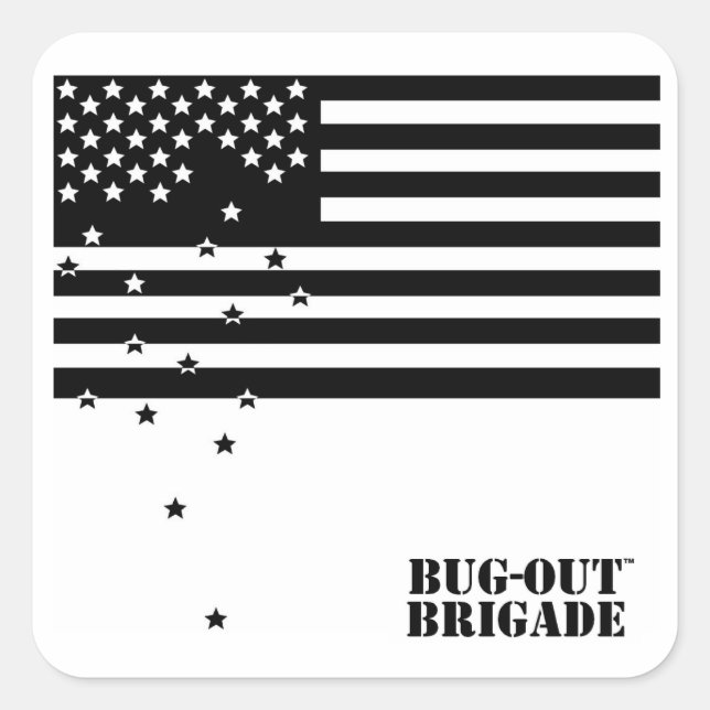 PEGATINAS de la brigada BUG OUT Falling Stars (Anverso)