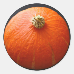 Pegatinas de la calabaza