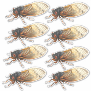 Pegatinas de la Cicada Periódica de Brood X: 8 po