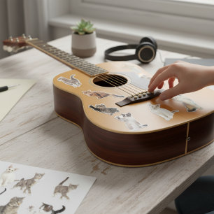 Pegatinas de la colección Cat