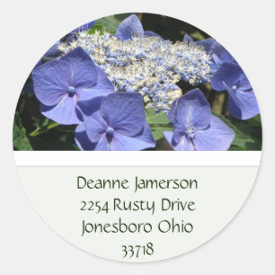 Pegatinas de la dirección del Hydrangea del