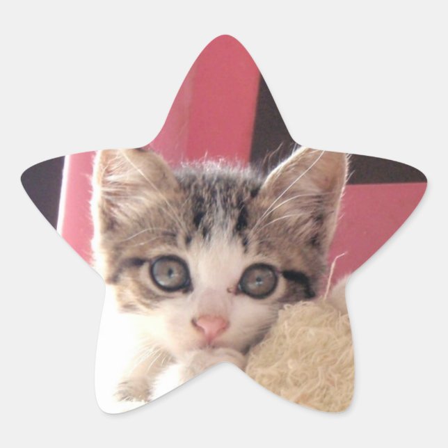 pegatinas de la estrella del juguete de los bigote (Anverso)