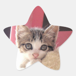 pegatinas de la estrella del juguete de los bigote