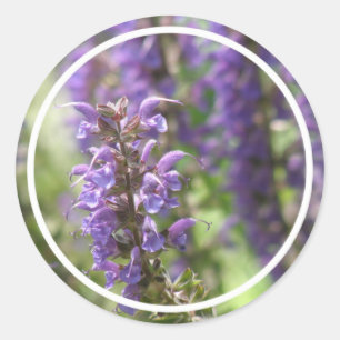 Pegatinas de la flor de la lavanda