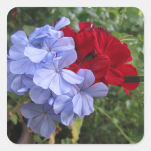 Pegatinas de la invitación a las flores azules y r