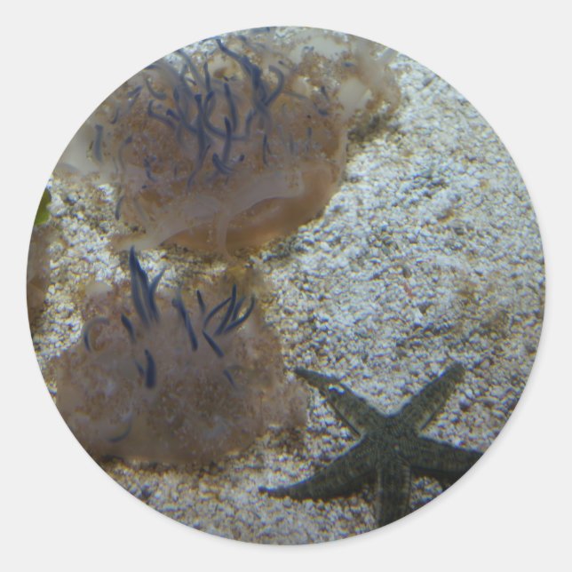 Pegatinas de la medusa al revés (Anverso)