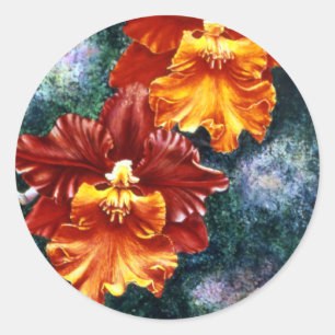 Pegatinas de la orquídea del tigre