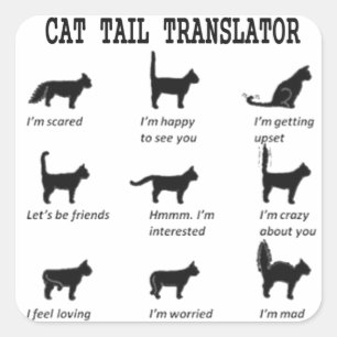 PEGATINAS de la PLAZA CAT TAIL TRANSLATOR