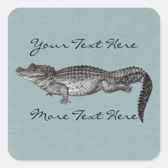 Pegatinas de la Plaza del Cocodrilo (Anverso)