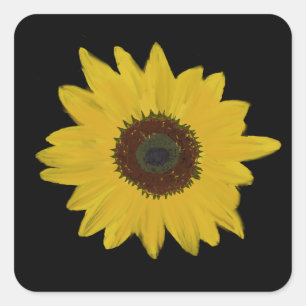 Pegatinas de la plaza del girasol