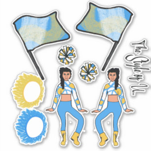 Pegatinas de la protección de color de la bandera