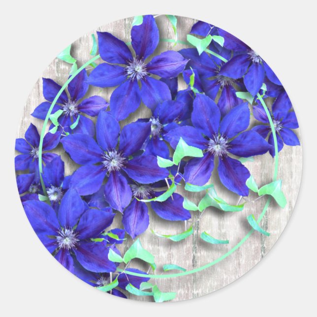 Pegatinas de la Purple Celebration Clematis Flower (Anverso)