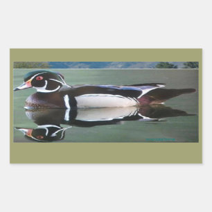 Pegatinas de la reflexión del pato de madera