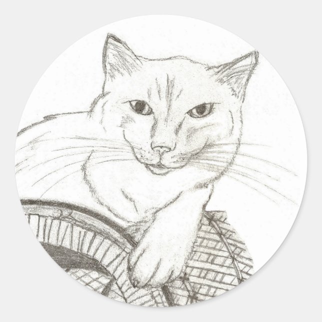 Pegatinas de la ronda del retrato de Cat Ragdoll - (Anverso)