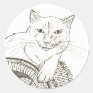 Pegatinas de la ronda del retrato de Cat Ragdoll -