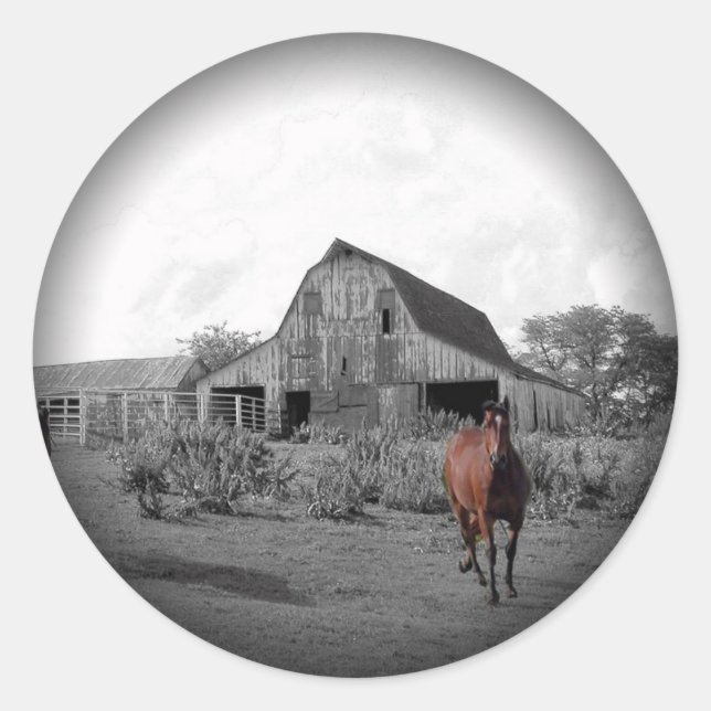 Pegatinas de la ronda negra de moda (Anverso)