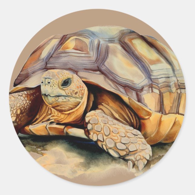 Pegatinas de la Ronda Tortoise del Desierto (Anverso)