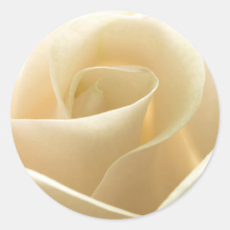 Pegatinas de la Rosa Blanca