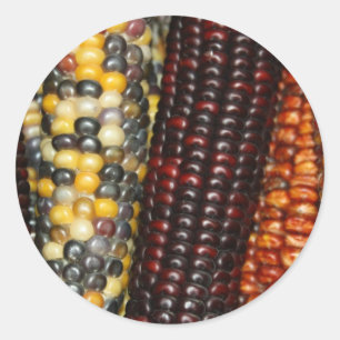 Pegatinas de la variedad del maíz indio