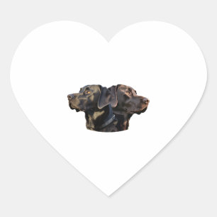 Pegatinas de Labrador Negro