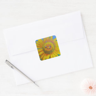 Pegatinas de las abejas del girasol