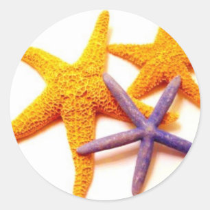 Pegatinas de las estrellas de mar del verano