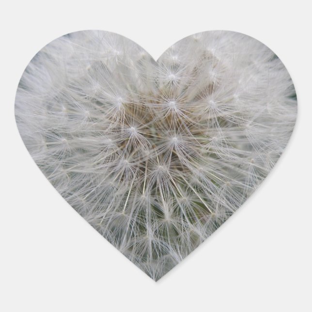 Pegatinas de las flores de Dandelion (Anverso)