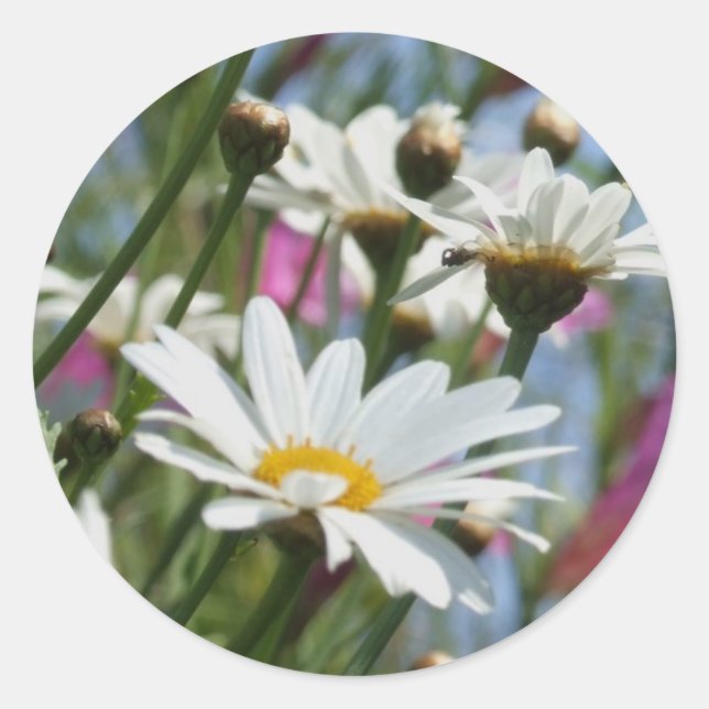 Pegatinas de las flores de primavera (Anverso)