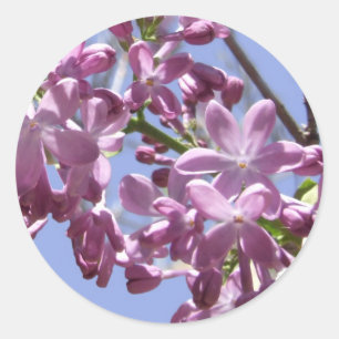 Pegatinas de las flores de primavera