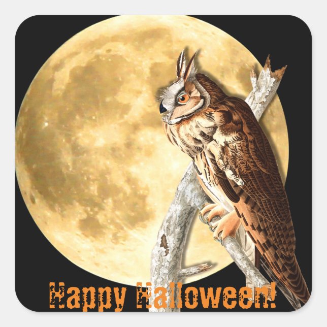 Pegatinas de Lechuza Larga de Halloween Audubon (Anverso)