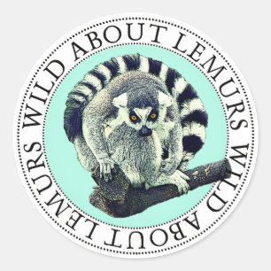 Pegatinas de Lemur