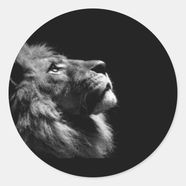 Pegatinas de leones (Anverso)