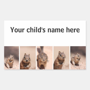 Pegatinas de libros escolares Chipmunk Squirrel
