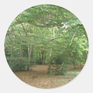 Pegatinas de limpieza de bosques