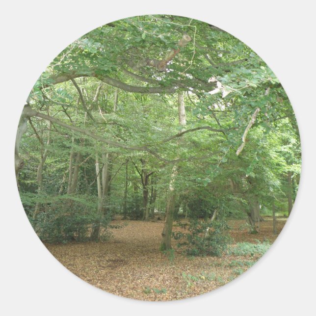 Pegatinas de limpieza de bosques (Anverso)