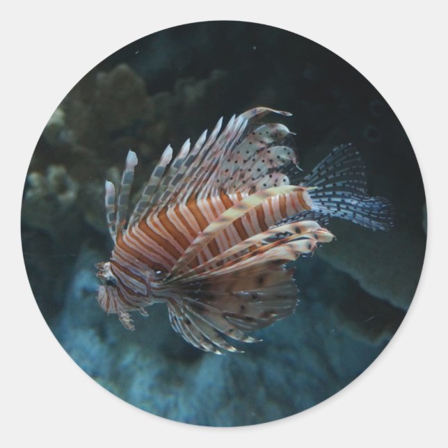 Pegatinas de Lionfish Rojo (Anverso)