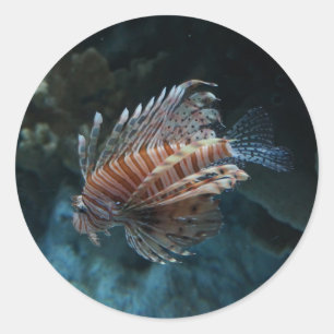 Pegatinas de Lionfish Rojo