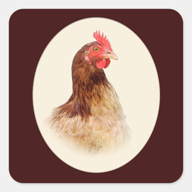 Pegatinas de Little Brown Hen (Anverso)