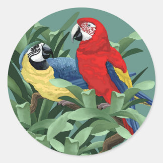 Pegatinas de loro