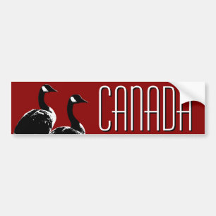 Pegatinas de los gansos de Canadá de la pegatina