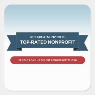 pegatinas de los Premios GreatNonprofit 2012