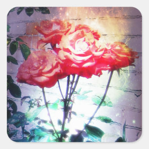 Pegatinas de los rosas de la llama