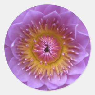 Pegatinas de Lotus Flower