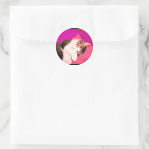 Pegatinas de Lucy Kitty