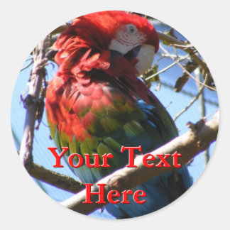 Pegatinas de Macaw