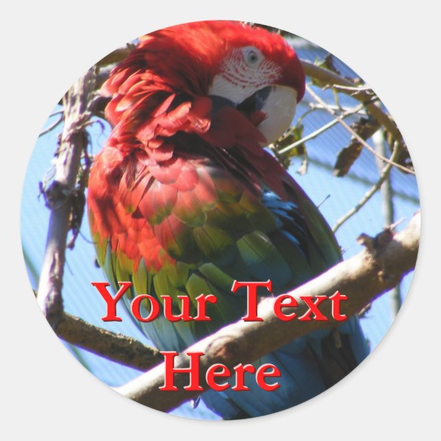 Pegatinas de Macaw (Anverso)