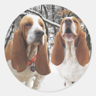 Pegatinas de maderas de Basset Hound Nevado