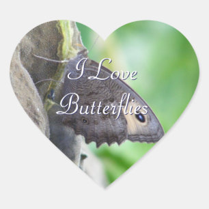 Pegatinas de mariposa