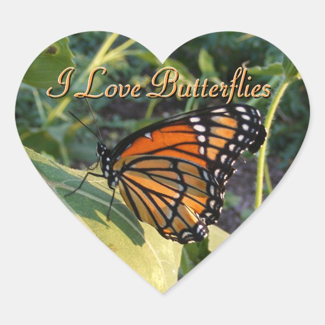 Pegatinas de mariposa (Anverso)