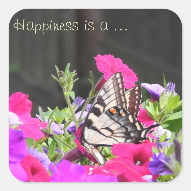 Pegatinas de mariposa (Anverso)